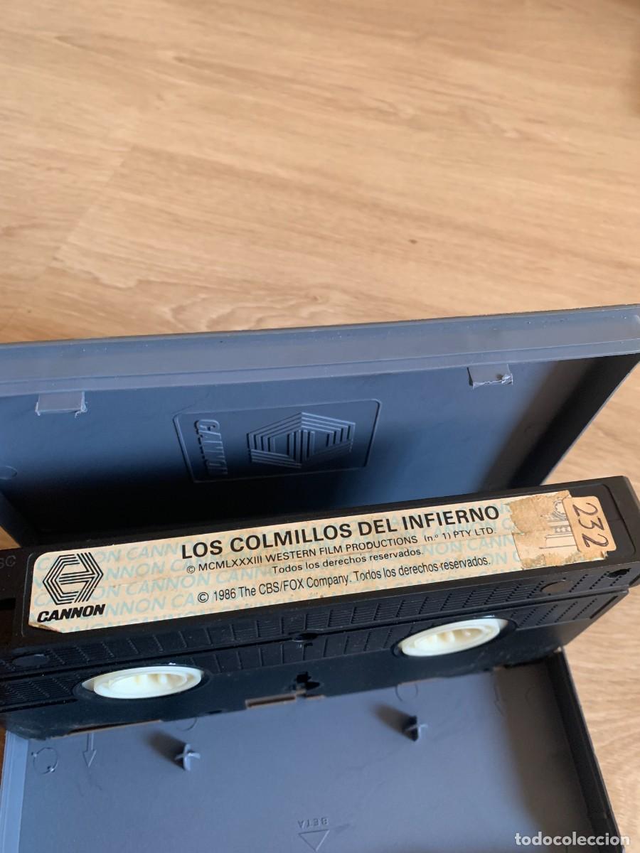 Cine: VHS. LOS COLMILLOS DEL INFIERNO. - Foto 3