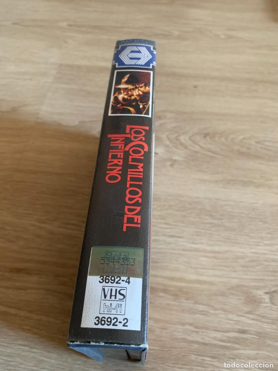 Cine: VHS. LOS COLMILLOS DEL INFIERNO. - Foto 5