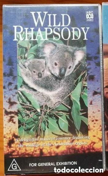 Cine: VHS - WILD RHAPSODY - Animales de Australia - DOCUMENTAL en ingl&eacute;s