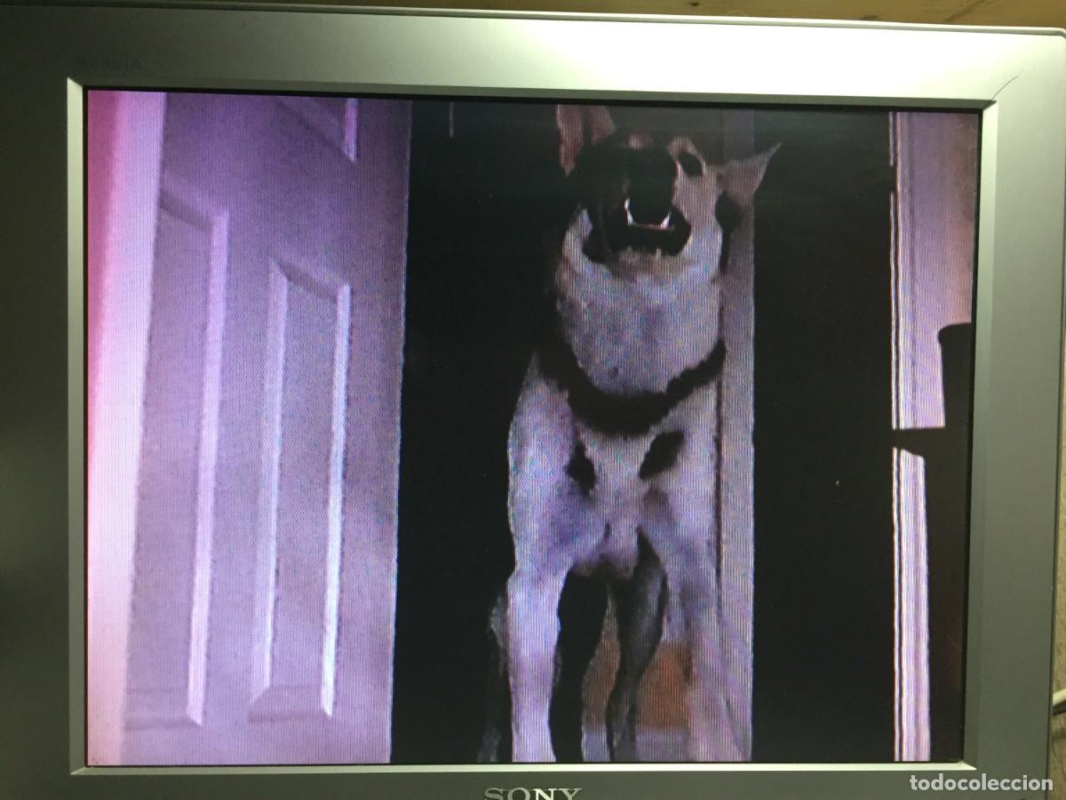 Cine: Vhs Rabia Atomic dog - Foto 8