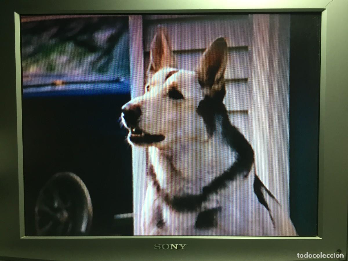 Cine: Vhs Rabia Atomic dog - Foto 9