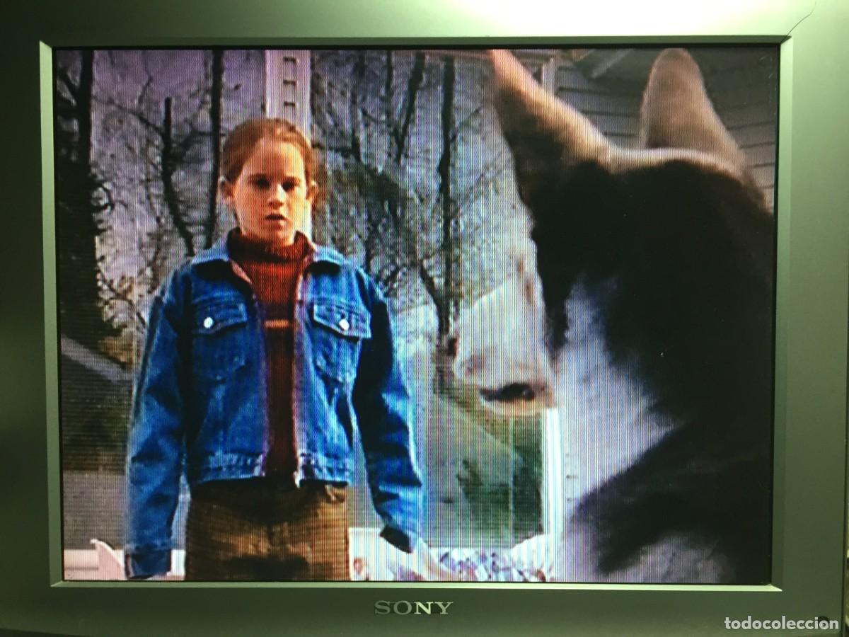 Cine: Vhs Rabia Atomic dog - Foto 10