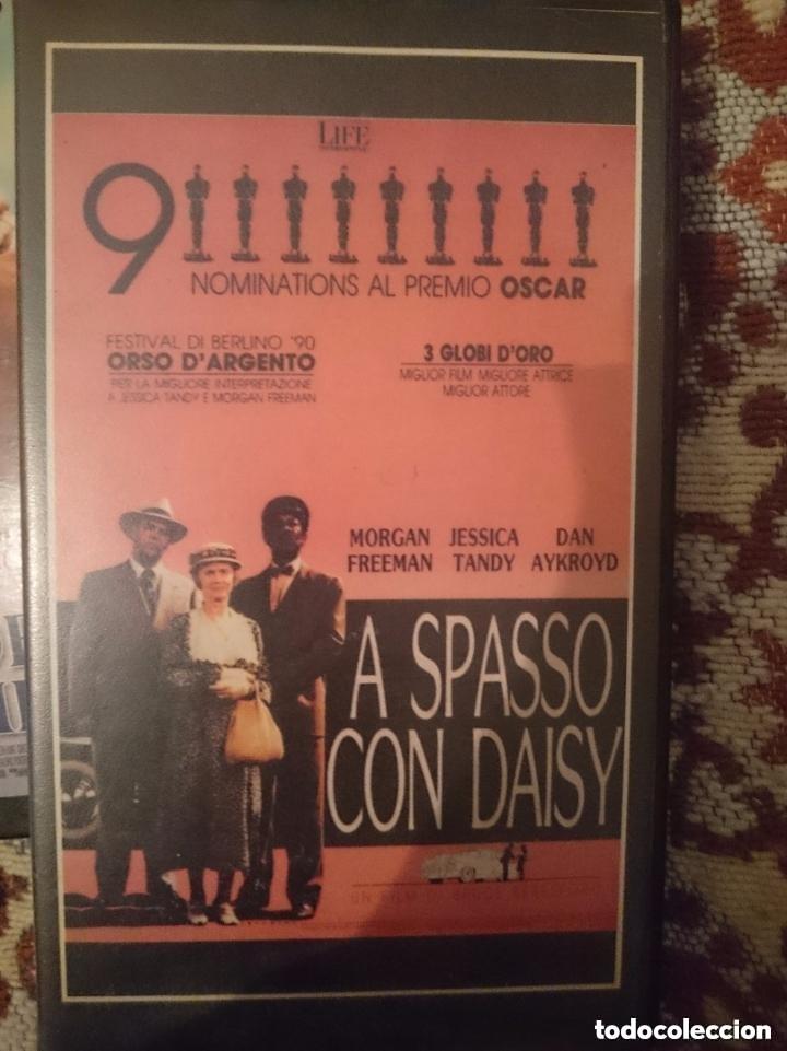 Cine: VHS - pelicula en italiano - A SPASSO CON DAISY - PASEANDO A MISS DAISY