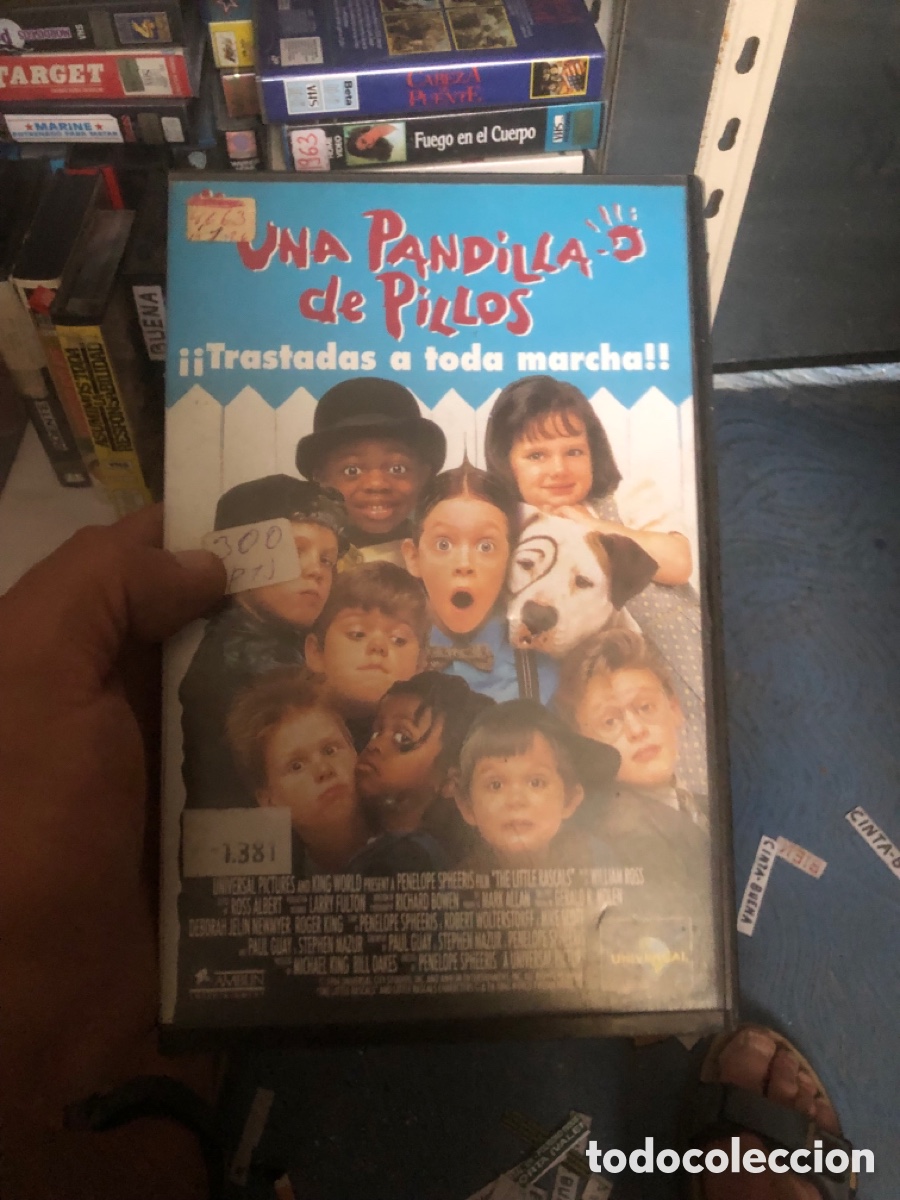 Cine: VHS V&Iacute;DEO CLUB UNA PANDILLA DE PILLOS