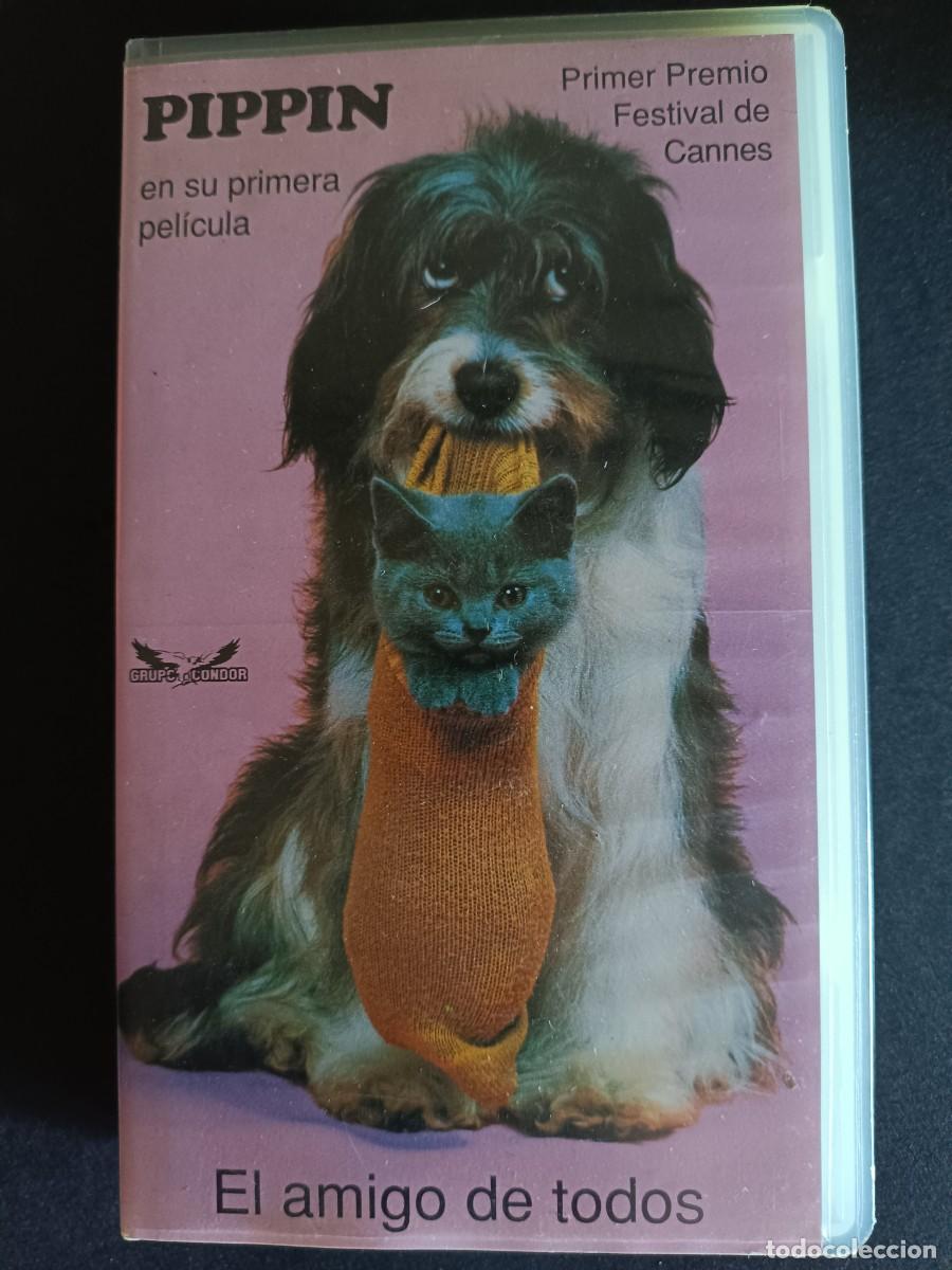 Cine: Las Aventuras de Pippin