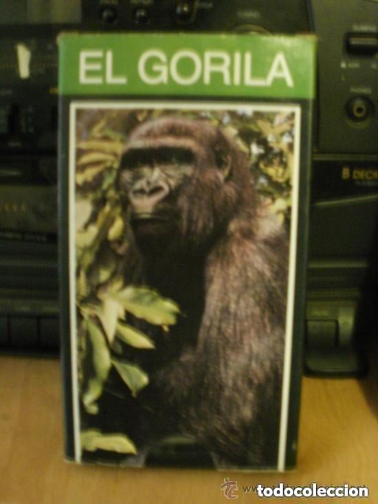 Cine: VHS - EL GORILA - DOCUMENTAL - A&Ntilde;O 1989
