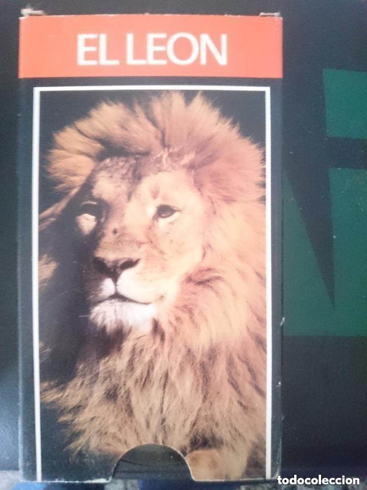 Cine: VHS - EL LEON - DOCUMENTAL - A&Ntilde;O 1989