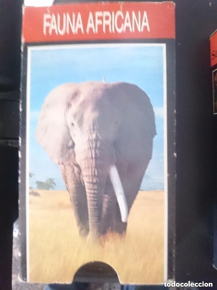 Cine: VHS - FAUNA AFRICANA -- DOCUMENTAL - A&Ntilde;O 1989 . VENIA DE REGALO CON LIBROS ENCICLOPEDIA DE LA FAUN