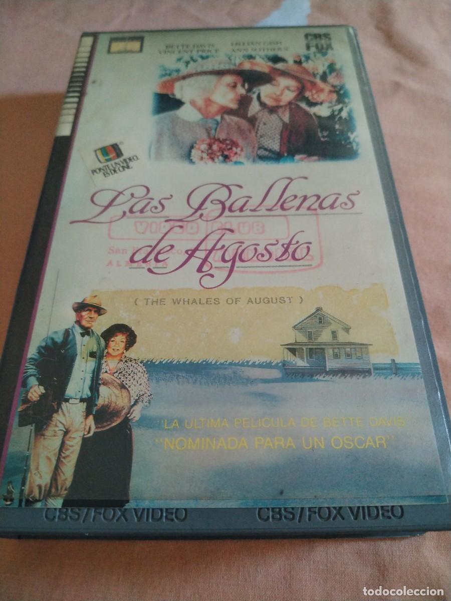 Cine: VHS - LAS BALLENAS DE AGOSTO - 51