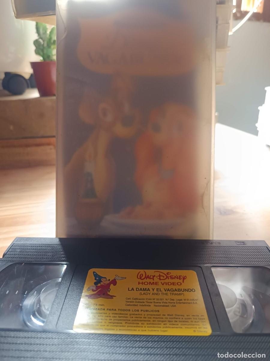 Kino: La dama y el vagabundo