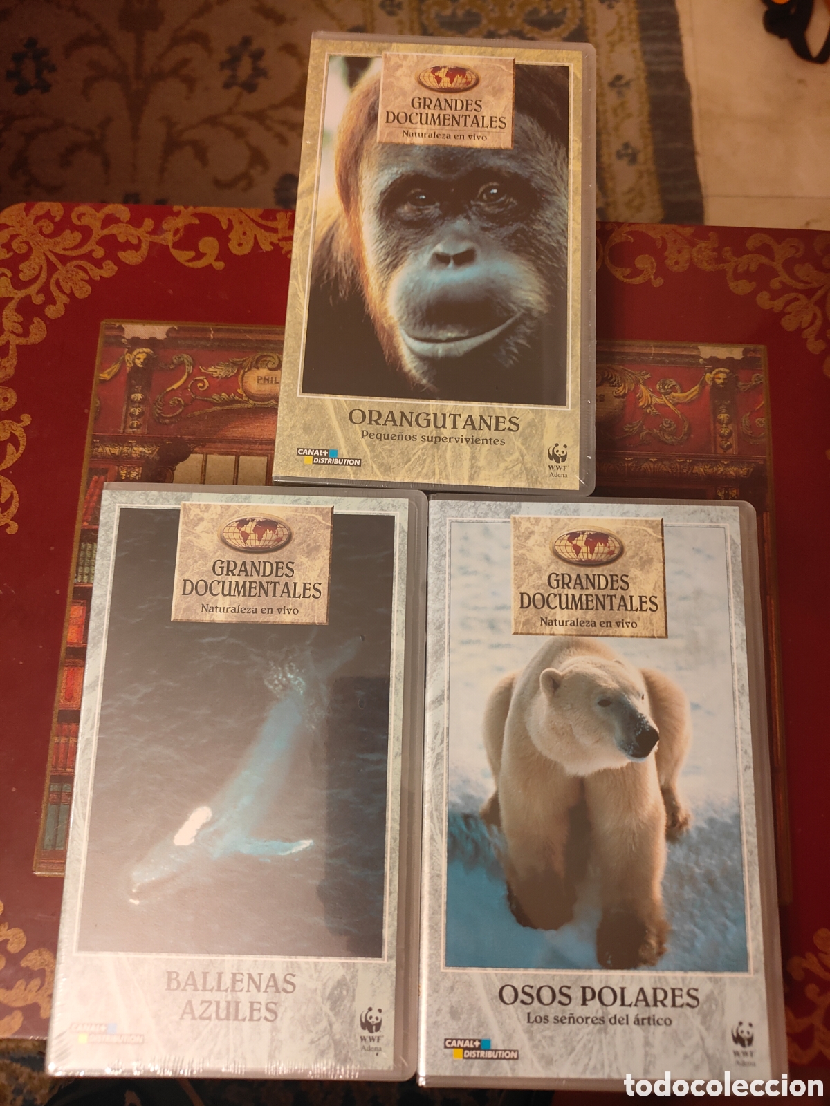 Cine: Lote 3 Documentales VHS WWF Adena Canal+ Precintados de F&aacute;brica - Manga Films (1996)
