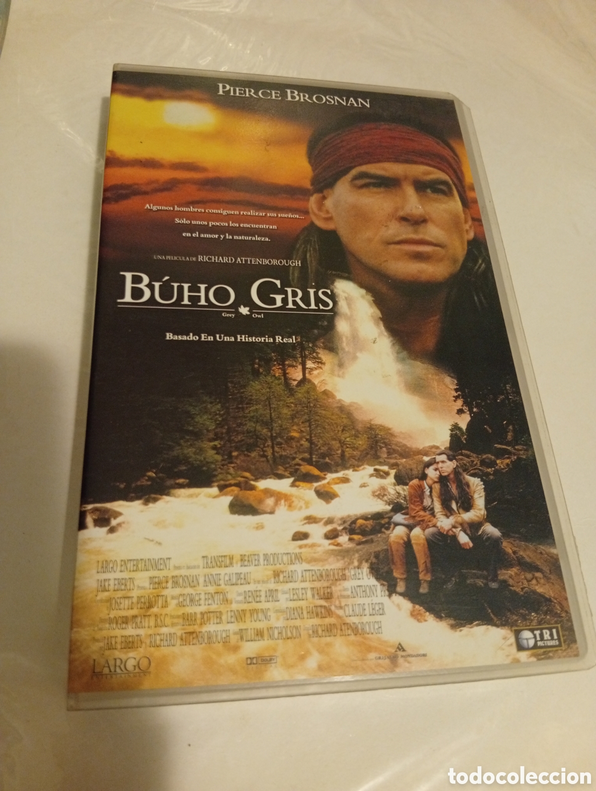 Cine: B&uacute;ho gris vhs pel&iacute;cula