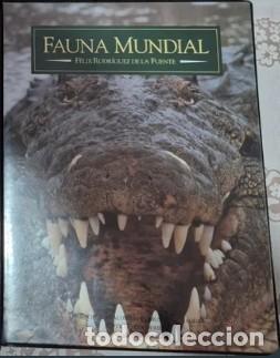 Cinema: Pel&iacute;cula VHS - Fauna Mundial: Reptiles y Cocodrilos, 1996