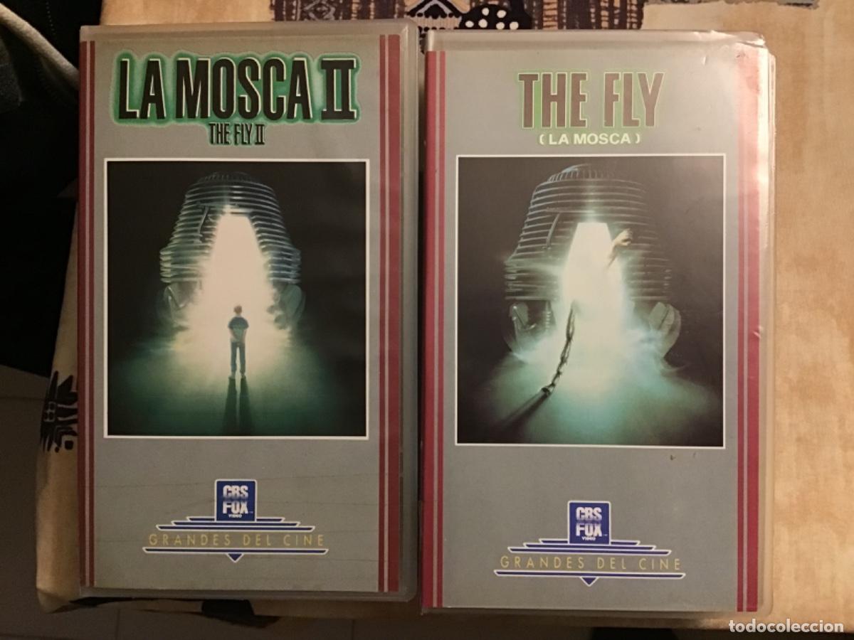 Cinema: PEL&Iacute;CULA VHS LA MOSCA THE FLY CINE JEFF GOLDBUM GEENA DAVIS DIRECTOR CBS FOX