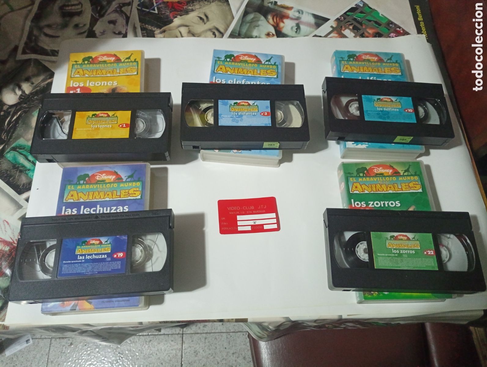 Cine: 5 VHS el maravilloso mundo de los animales
