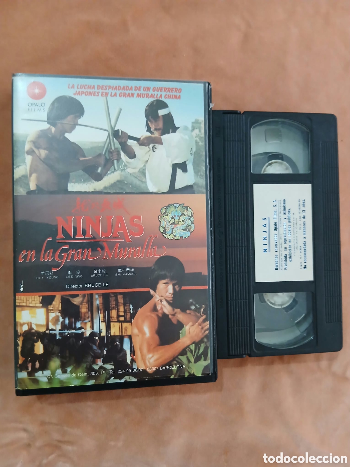 Cine: EL NINJA SOLITARIO - ARTES MARCIALES - VHS (UNICA EN TC)
