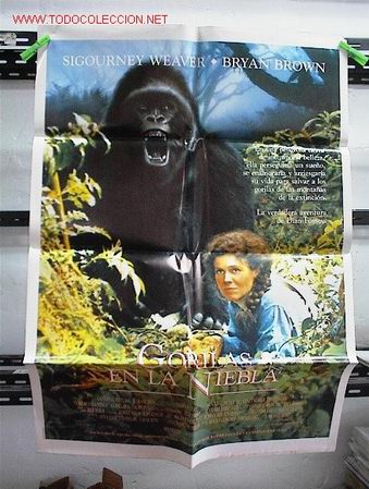 Cine: GORILAS EN LA NIEBLA - Foto 1
