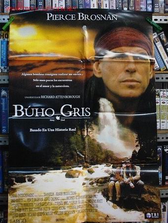 Cine: BUHO GRIS - Foto 1
