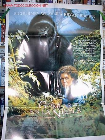 Cine: GORILAS EN LA NIEBLA - Foto 1