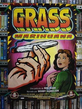 Cine: GRASS MARIHUANA - Foto 1