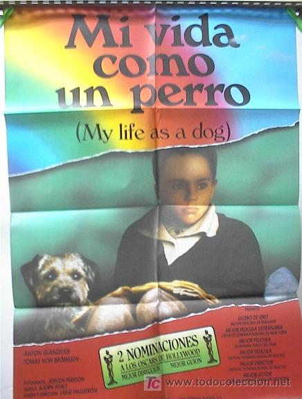 Cine: MI VIDA COMO UN PERRO - Foto 1