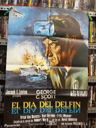 Cine: EL DIA DEL DELFIN - Foto 1