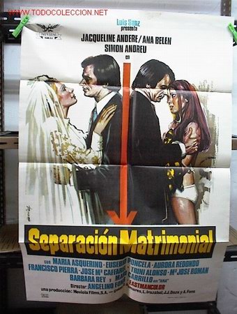Cine: SEPARACION MATRIMONIAL - Foto 1