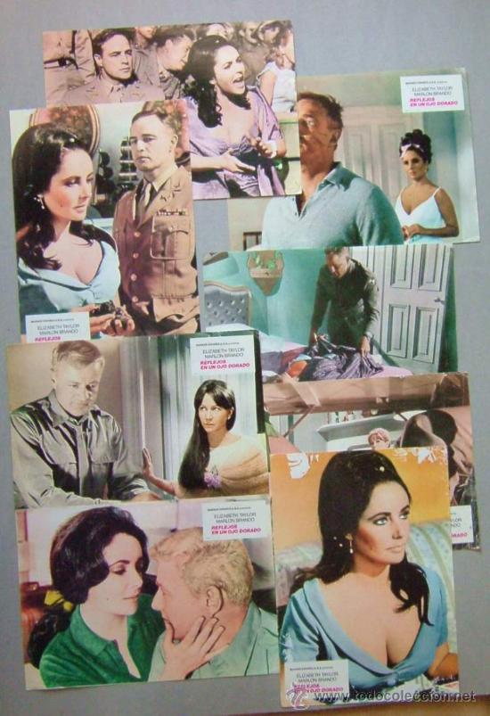 Cin&eacute;ma: REFLEJOS EN UN OJO DORADO      8  LOBBY CARD  BRANDO  TAYLOR HOUSTON   NUM 74