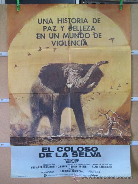 Cine: EL COLOSO DE LA SELVA - Foto 1