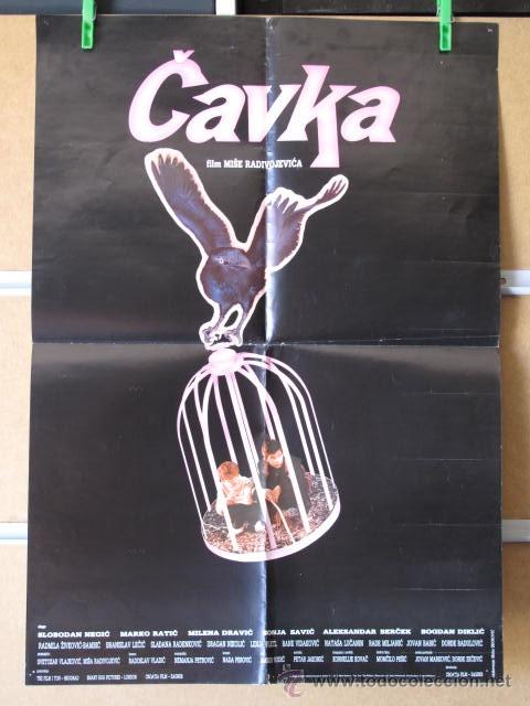 Kino: CAVKA   MEDIDAS 70X50