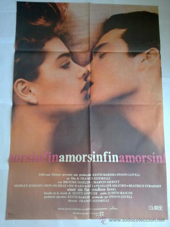 Cine: P&oacute;ster original  AMOR SIN FIN - Foto 1
