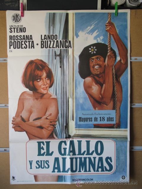 Cinema: EL GALLO Y SUS ALUMNAS