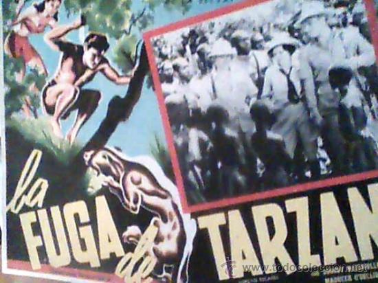Cinema: LA FUGA DE TARZAM CON JOHNY WEISMULLER