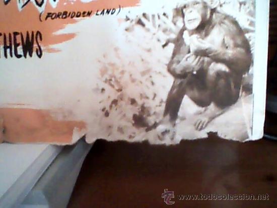 Cine: JIM DE LA SELVA EN  TIERRA DE MONSTRUOS - Foto 2