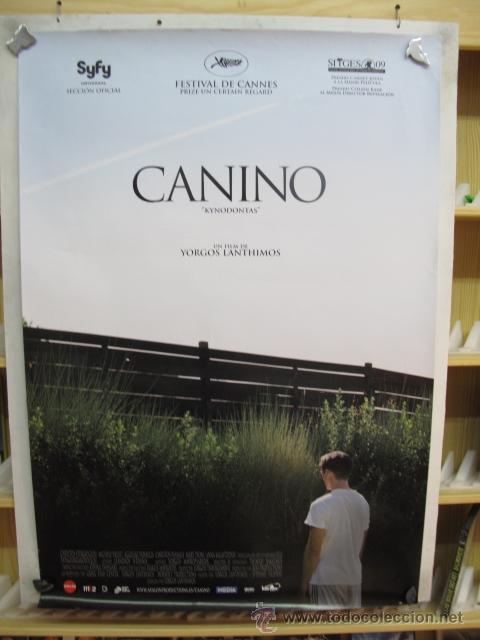 Cine: CAMINO - Foto 1