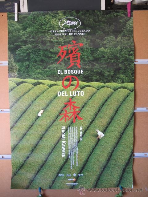 Cin&eacute;ma: EL BOSQUE DEL LUTO