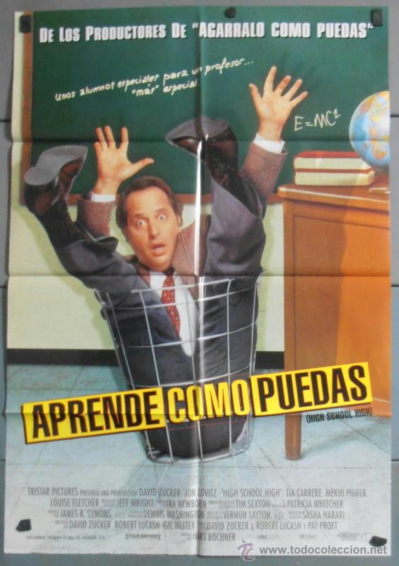 Cine: APRENDE COMO PUEDAS, CARTEL DE CINE ORIGINAL 70x100 APROX (7291)