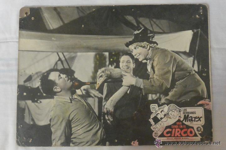 Cin&eacute;ma: ANTIGUO FOTOGRAMA LOS HERMANOS MARX UNA TARDE EN EL CIRCO