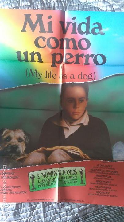 Cine: MI VIDA COMO UN PERRO. CARTEL DE CINE 70 X 100. BUEN ESTADO. DOBLADO