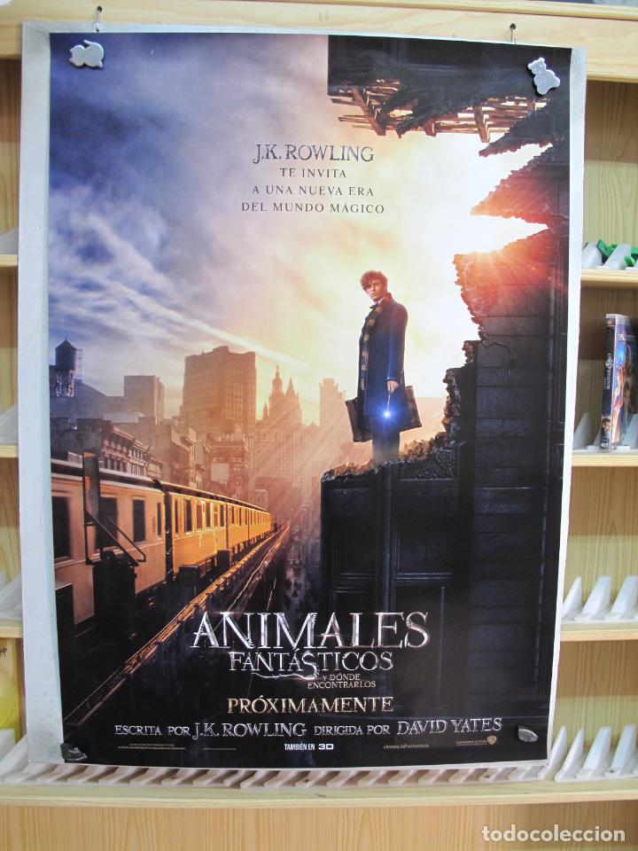 Cine: ANIMALES FANTASTICOS - Foto 1