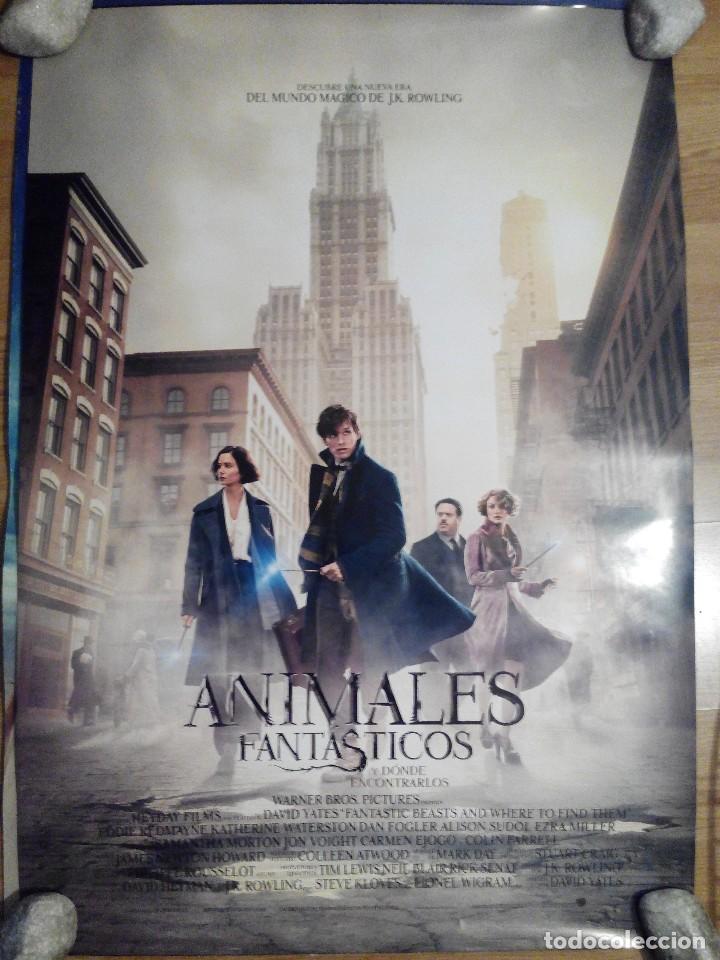 Cine: Animales fantasticos - aprox 70x100 Cartel ORIGINAL cine (L39)