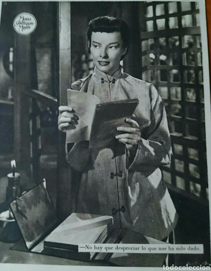 Cinema: Fotograma original estirpe de drag&oacute;n, Katherine hepburn,muy antiguo,gran tama&ntilde;o