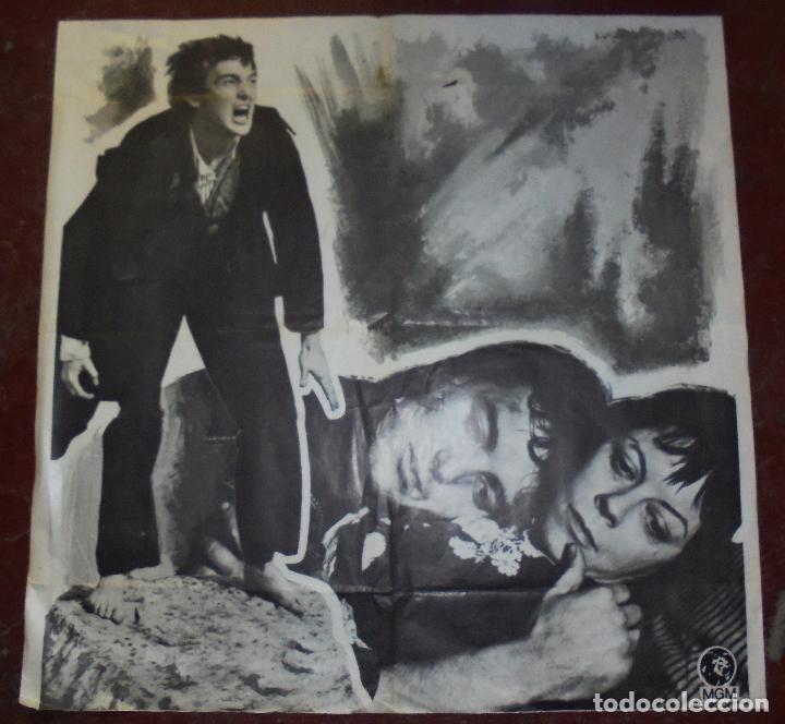 Cine: CARTEL DE CINE. MGM. A IDENTIFICAR. 70 X 69 CM