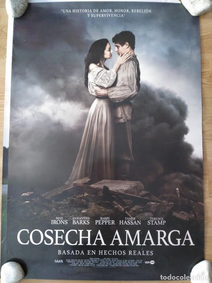 Cinema: Cosecha amarga - aprox 70x100 Cartel ORIGINAL cine (L45)
