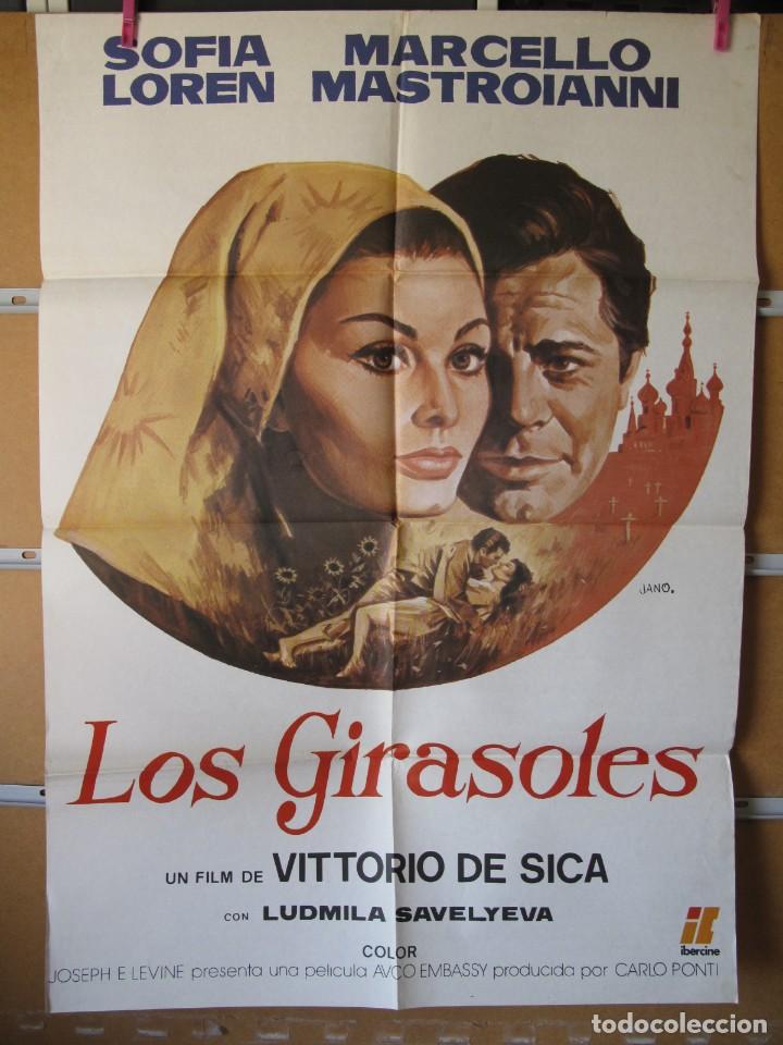 Cine: L247 LOS GIRASOLES - Foto 1
