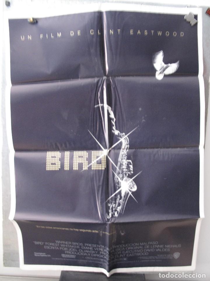 Cinema: GNA1982 BIRD