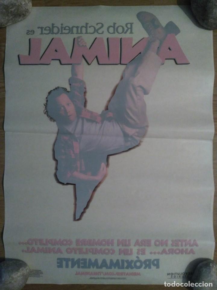 Kino: Animal - aprox 50x70 Adhesivo ORIGINAL cine (A1)