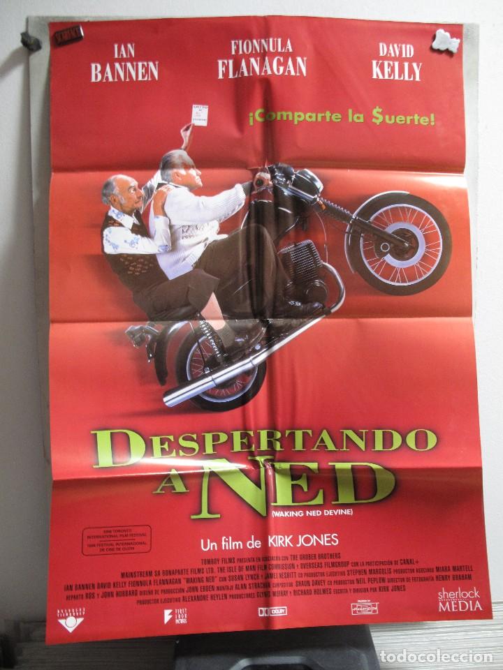 Cinema: GNA2043 DESPERTANDO A NED