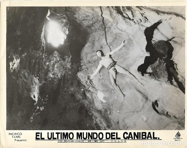 Cinema: El &Uacute;ltimo mundo del Can&iacute;bal Foto Cartel