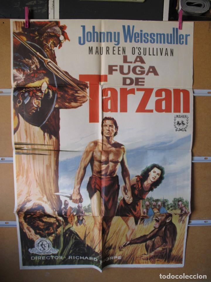 Cine: GND3385 LA FUGA DE TARZAN - Foto 1